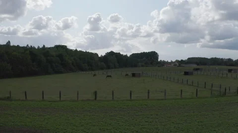 Aerial, pov, summer fields outside of Merelbeke, Belgium Stock Footage 140456729