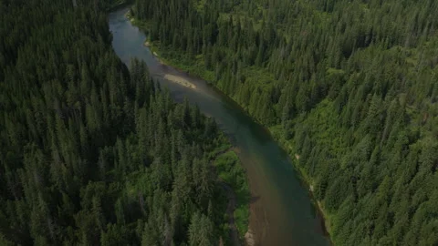 Aerial of Priest river flowing through Idaho Panhandle Kaniksu National Forest Stock Footage 337596356