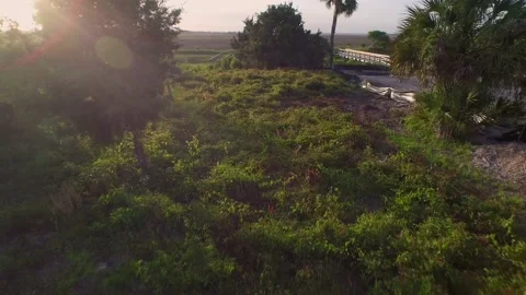 Aerial of property by a marsh Stock Footage 167371830