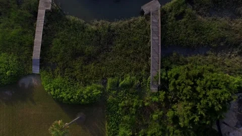 Aerial of property by a marsh Stock Footage 167371846