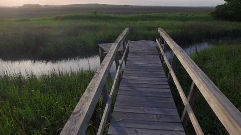 Aerial of property by a marsh Stock Footage 167371850