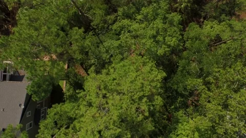 Aerial of property by a marsh Stock Footage 167372033