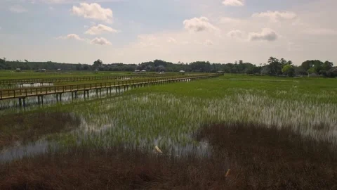 Aerial of property by a marsh Stock Footage 167372053