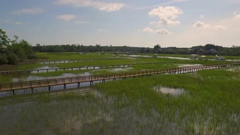 Aerial of property by a marsh Stock Footage 167372054