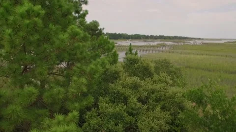 Aerial of property by a marsh Stock Footage 167372090