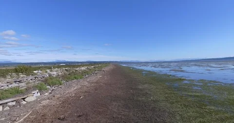 Aerial pull along tidal flat shore on sunny day with mountains in b/g Stock Footage 86331762