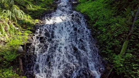 Aerial pull away from lush green waterfall in forest Stock Footage 79857504