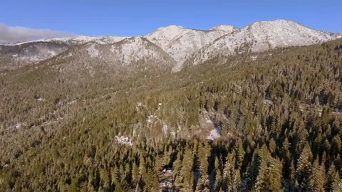 Aerial pull away from mountains and over Douglas Fir trees and a tiny bit Video stock 169376422