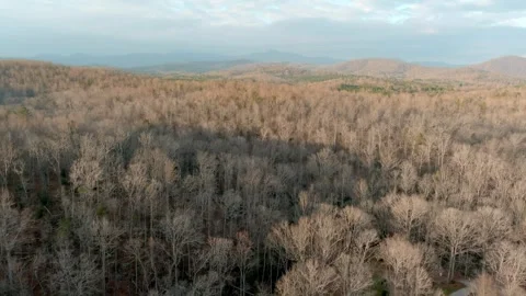 Aerial pull away shot of winter forest and mountains Stock Footage 325734631