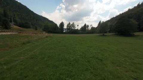 Aerial Pull Back From Distant Lake Toward Meadow Tree Stock Footage 341829940