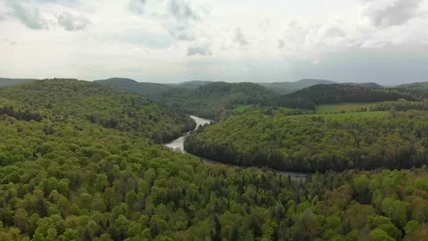 Aerial pull back, distant Red River and forest in Arundel, Quebec. Stock Footage 113877297