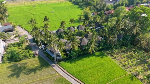 Aerial pull back Eco resort villas hotel surrounded by green rice fields Stock Footage 346772496