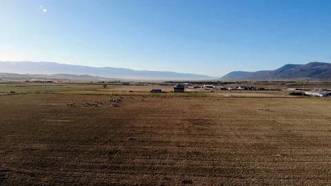 Aerial-Pull back-Ice forms on field irrigation sprinklers on cold fall morning Stock Footage 97910610