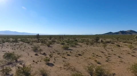 Aerial pull back of Joshua trees in the high desert Stock Footage