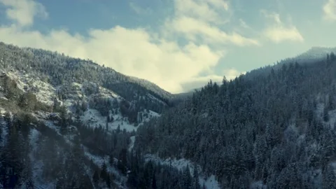 Aerial-Pull back-Log Canyon snow Trees Clouds Stock Footage 143128159