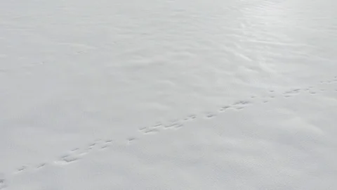 Aerial-Pull back low over textured snow field with no other elements Stock Footage 101451059