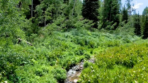 Aerial-Pull back low over small stream in mountains 스톡 동영상 112363572