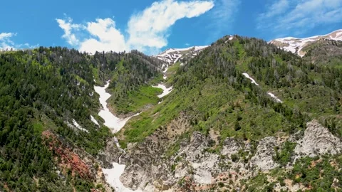 Aerial-Pull back-Mountain pines-Snow in valley-Salt Creek Falls Stock Footage 243838020