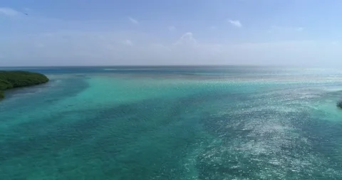 Aerial Pull-Back over  mangrove Forest , blue water canal  los roques Vídeo Stock 164720708