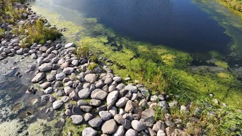 Aerial Pull Back Over Retention Pond in Barrie, Ontario Video stock 316991866