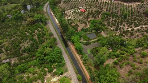 Aerial pull back over rural road irrigation canal and fruit orchards Stock Footage 334605403