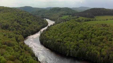 Aerial pull back, Red River and forest in Arundel, Quebec. Stock Footage 113877232