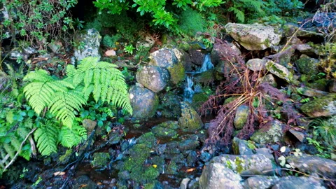 Aerial pull back reveal of mountain stream and waterfalls in Rabacal, Madeira Vídeos de archivo 328639541