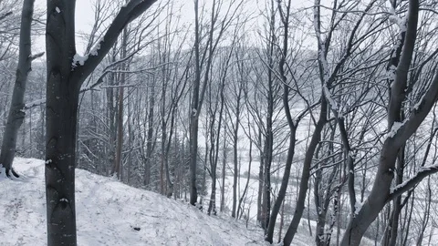 Aerial: Pull back shot of a forest covered in snow // South Germany 库存影片 127622079