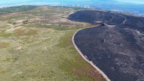 Aerial pull back shot revealing a wildfire's edge on a mountain The Concept.. Stock Footage 318443544