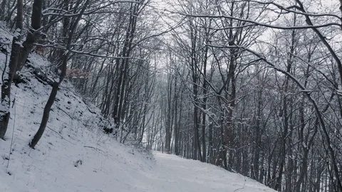 Aerial: Pull back shot in snowy forest  // South Germany 库存影片 127594110