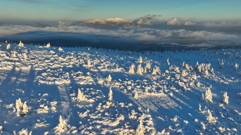 Aerial pull back from snow covered trees on Pilsko peak at sunset Stock Footage 336365602