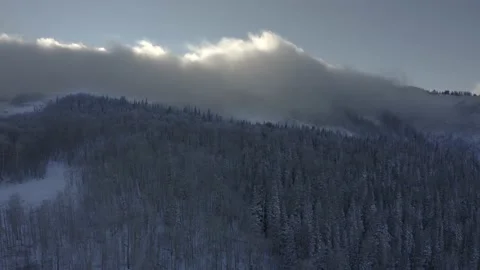 Aerial-Pull back-Snowy pine and aspen forest Sun lit clouds Video stock 143128106