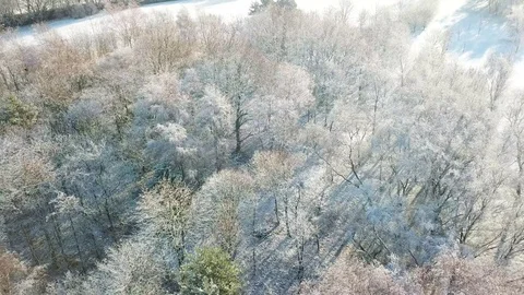 Aerial pull back tilt up views across white snow covered landscape &amp; bare Vídeos de archivo 101754401