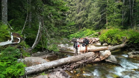 Aerial Pull-Back View of Backpackers Hiking Across Log Crossing Rushing River Stock Footage 224791510