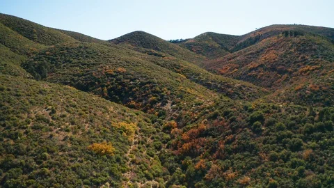 Aerial pull back view of beautiful fall colors in green valley in Lovell Canyon Stock Footage 118380344