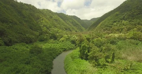 Aerial Pull Out. Jungle Valley and river mouth. Jurassic Park. Stock Footage 75005217