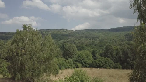 Aerial Pull Out Over Green Forest Drone Shot Stock Footage 159475464