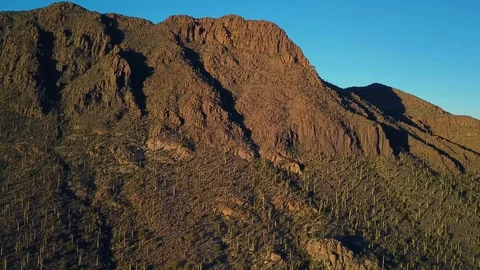 Aerial pull out over mountain covered with cacti in Saguaro National Park 库存影片 101816411