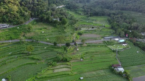 Aerial pull out from rural gate in Bali Vídeo Stock 329251905