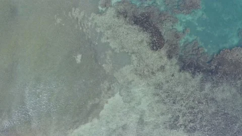 Aerial pull out of shallow Caribbean Sea shore Stock Footage 201390435