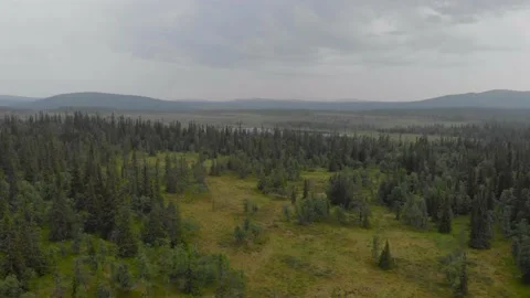 Aerial pull out shot reveals the tranquil arctic nature, the evergreen Stock Footage 159196366