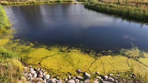 Aerial Pull-In Over Retention Pond in Barrie, Ontario Stock Footage 316991453