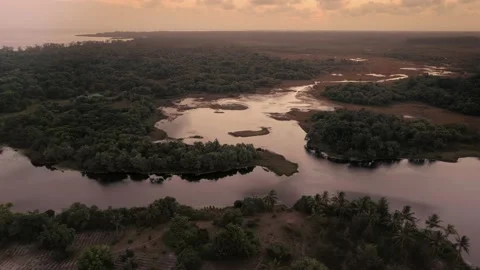 Aerial pull of Pemba's tropical forest at sunrise, Zanzibar Stockbeeldmateriaal 131544787