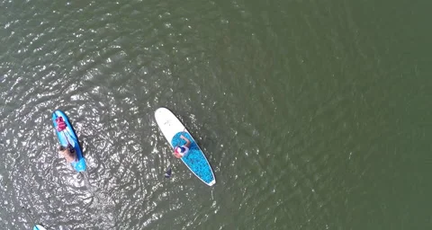 Aerial pull up shot on some Paddleboarders Stock Footage 58461289