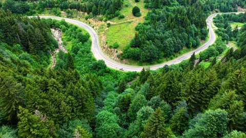 Aerial Pullback Above Dense Forest Revealing Scenic Road in Daylight 스톡 동영상 339389044