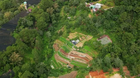 Aerial Pullback of Hillside Terraces in La Trinidad, Benguet, Philippines Stock Footage 331170215