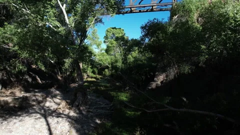 Aerial pullback of a lush canyon beneath a train trestle bridge Stock Footage 194849956