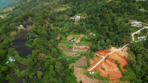 Aerial Pullback of Lush Mountain Slopes with Layered Farmland in Benguet Stock Footage 331165210