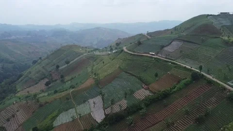 Aerial Pullback Over Colorful Terraced Farmland in Indonesia 動画素材 331416253