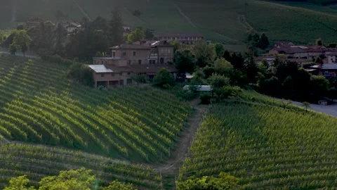 Aerial Pullback Over Lush Green Vineyards and Villa in Piedmont Italy Video stock 334984779
